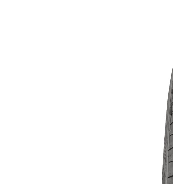 TS 810, 185/65 R15 88T Štítok EÚ na označenie pneumatík – hodnotenie mokrej priľnavosti: C, Hodnotenie spotreby paliva: E, Hodnotenie hluku: 71dB,  pneumatika na jazdu po snehu