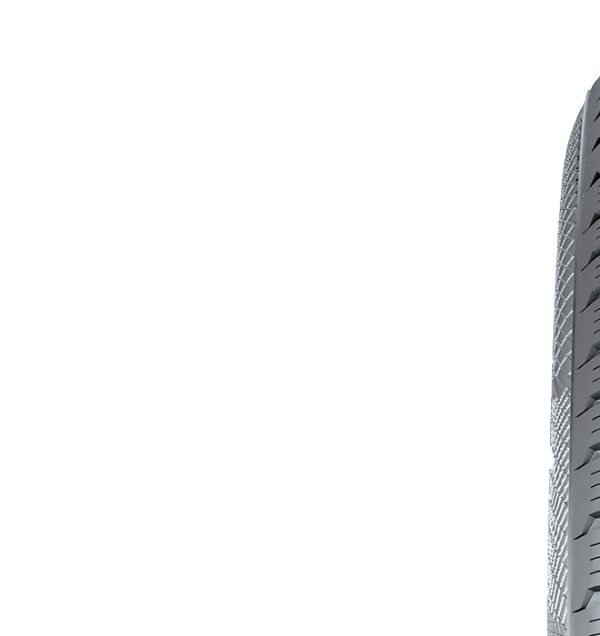 TS 850 P, 255/45 R19 100T Štítok EÚ na označenie pneumatík – hodnotenie mokrej priľnavosti: B, Hodnotenie spotreby paliva: C, Hodnotenie hluku: 73dB,  pneumatika na jazdu po snehu