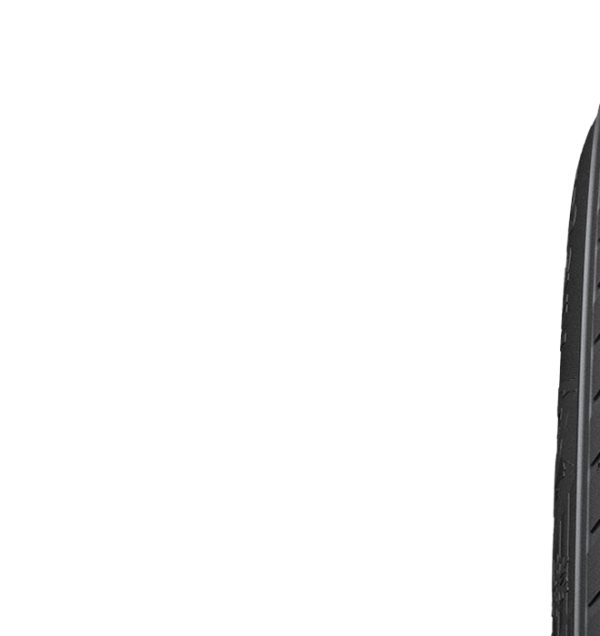 WIN.I*CEPT EVO2W320A, 265/70 R16 112T Štítok EÚ na označenie pneumatík – hodnotenie mokrej priľnavosti: C, Hodnotenie spotreby paliva: C, Hodnotenie hluku: 73dB,  pneumatika na jazdu po snehu